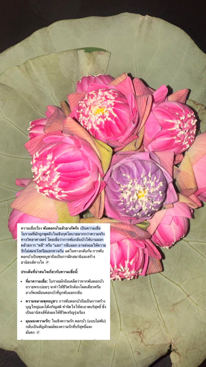 จีนส์ tweet media