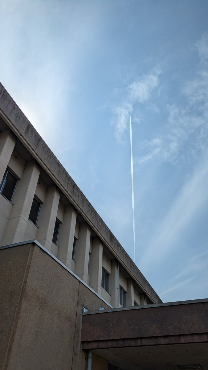 平永里恵(橋本)Hirae Rie パーカッション・打楽器・Percussion・マリンバ 富山 tweet media