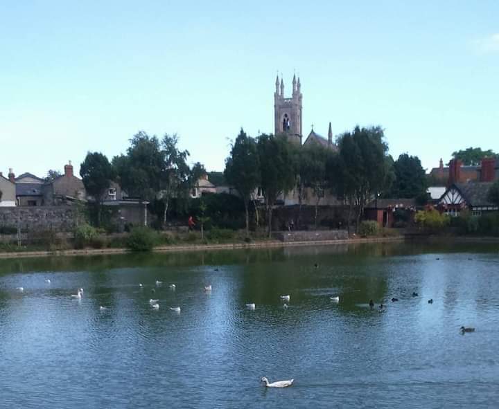 BUCHANAN: Dublin Time Machine tweet media