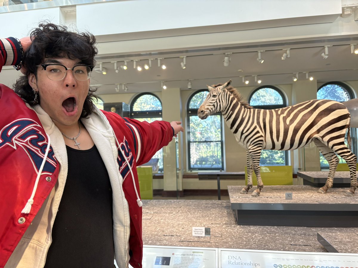 nitro 🔜 FWA, ASC tweet media