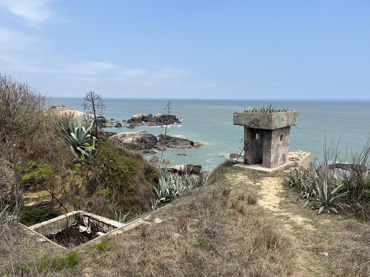 leftpain tweet media