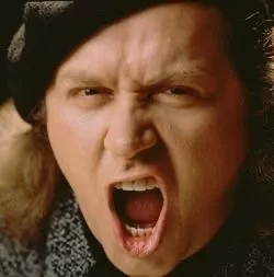 Brown Eyed Susan tweet media