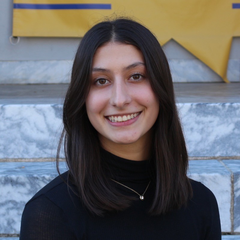 Delaware Valley Vascular Society tweet media