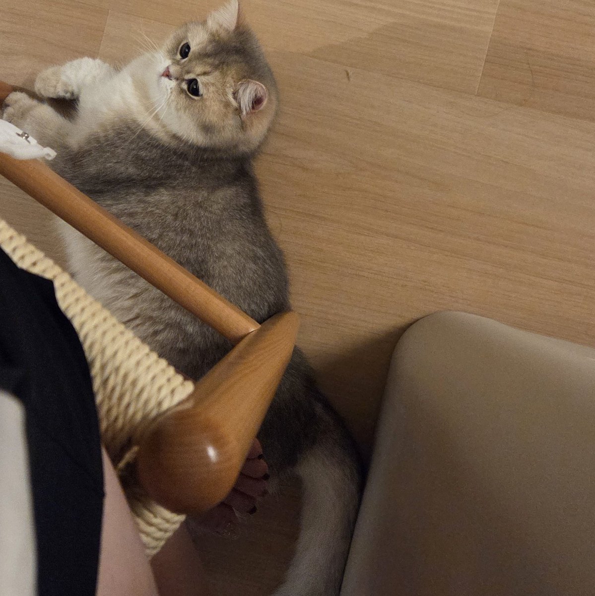 aeroaero95 tweet media