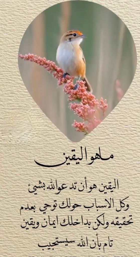 سو سو tweet media