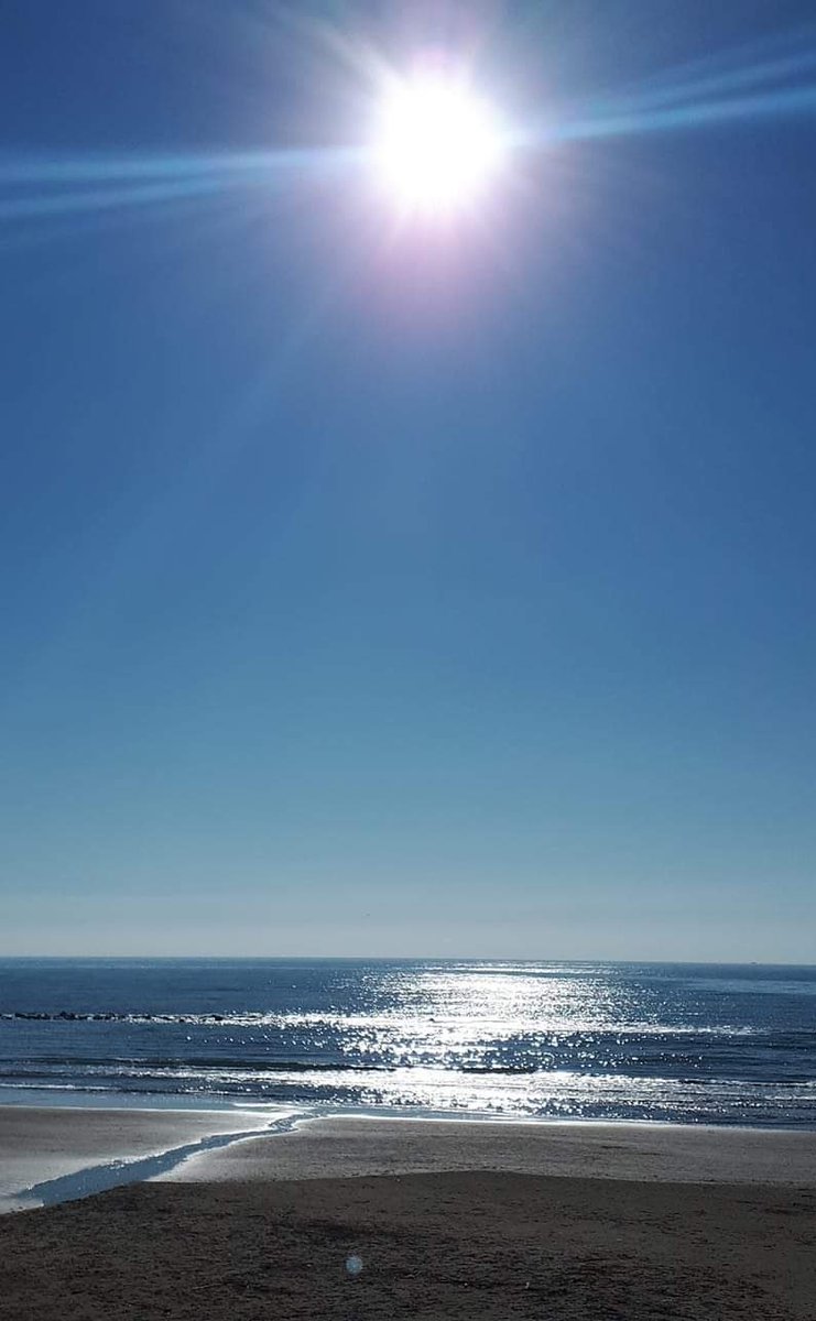 Daniela B  tweet media