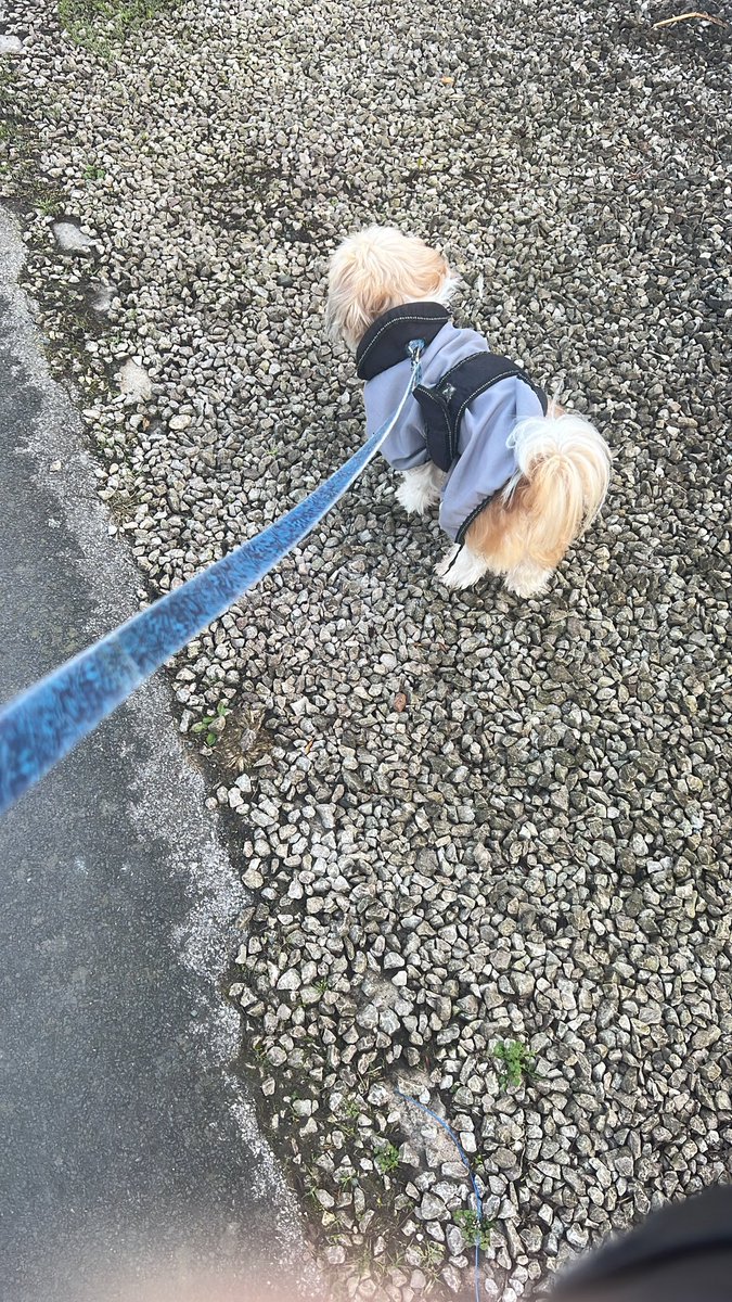 Jim Wilkinson tweet media