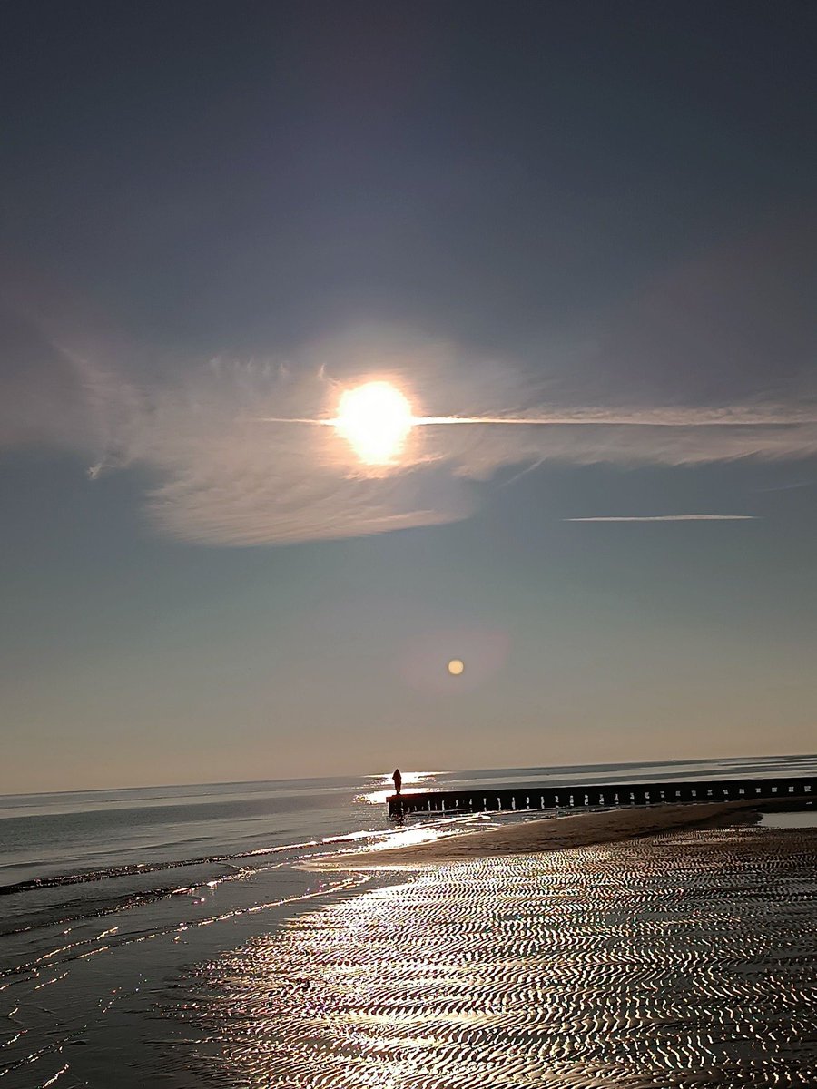 𝐈 𝐛𝐞𝐥𝐢𝐞𝐯𝐞 𝐈 𝐜@𝐧 𝐟𝐥𝐲 tweet media