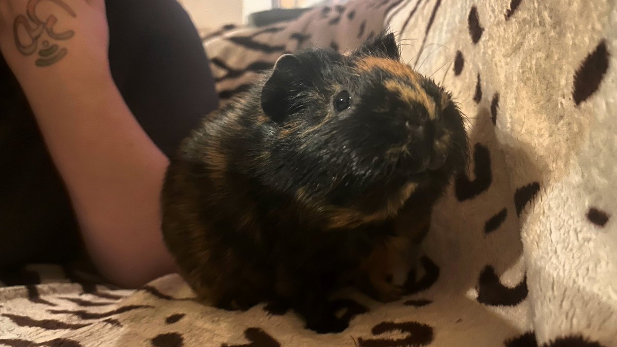 Nana_FM 🩷 tweet media