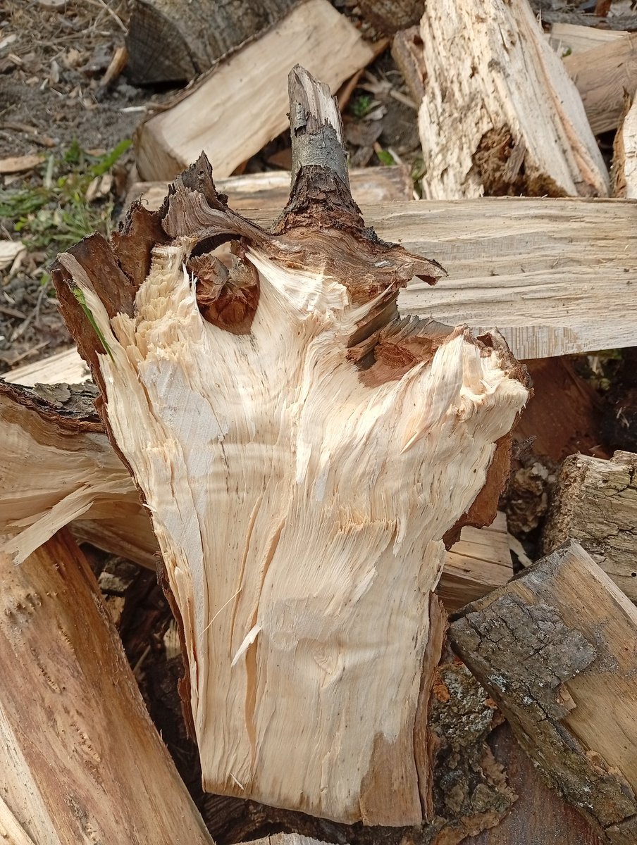 Adamas_w_trasie tweet media