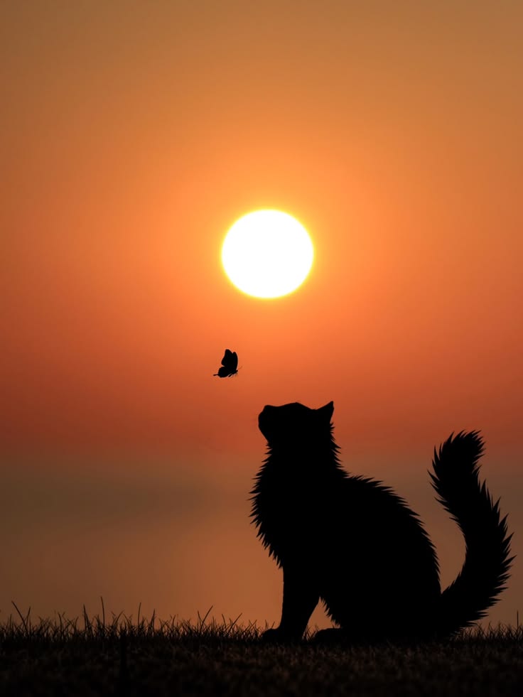 vivaneil tweet media