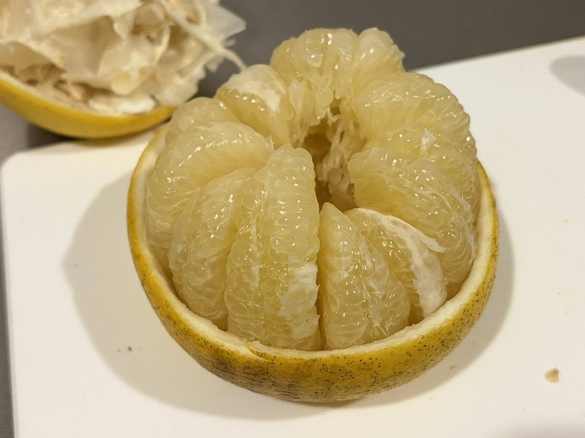 まーおじさん🐬✈️▷ tweet media