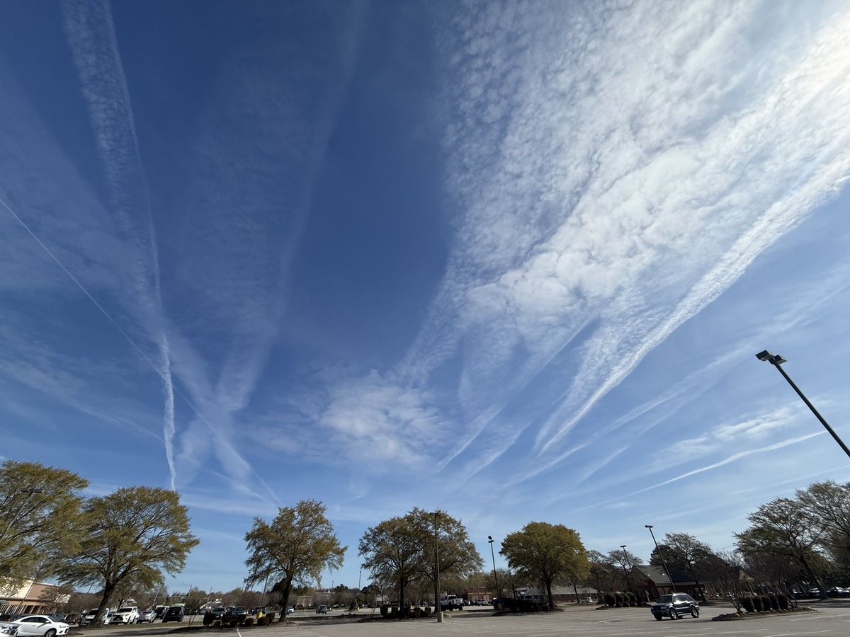 GoodDogBadDog tweet media