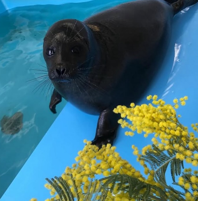 Herbuurna 🦭🇵🇷 tweet media