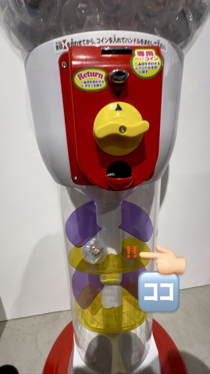 ﾁﾅ☁️ tweet media