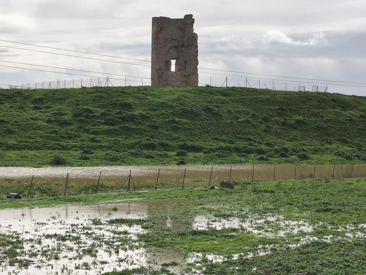 Honorio Aguilar ARQUITECTO tweet media