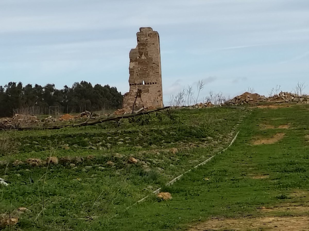 Honorio Aguilar ARQUITECTO tweet media