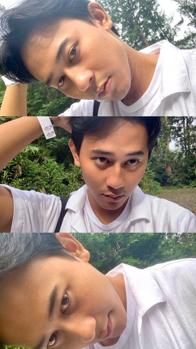 dar 🐺 tweet media