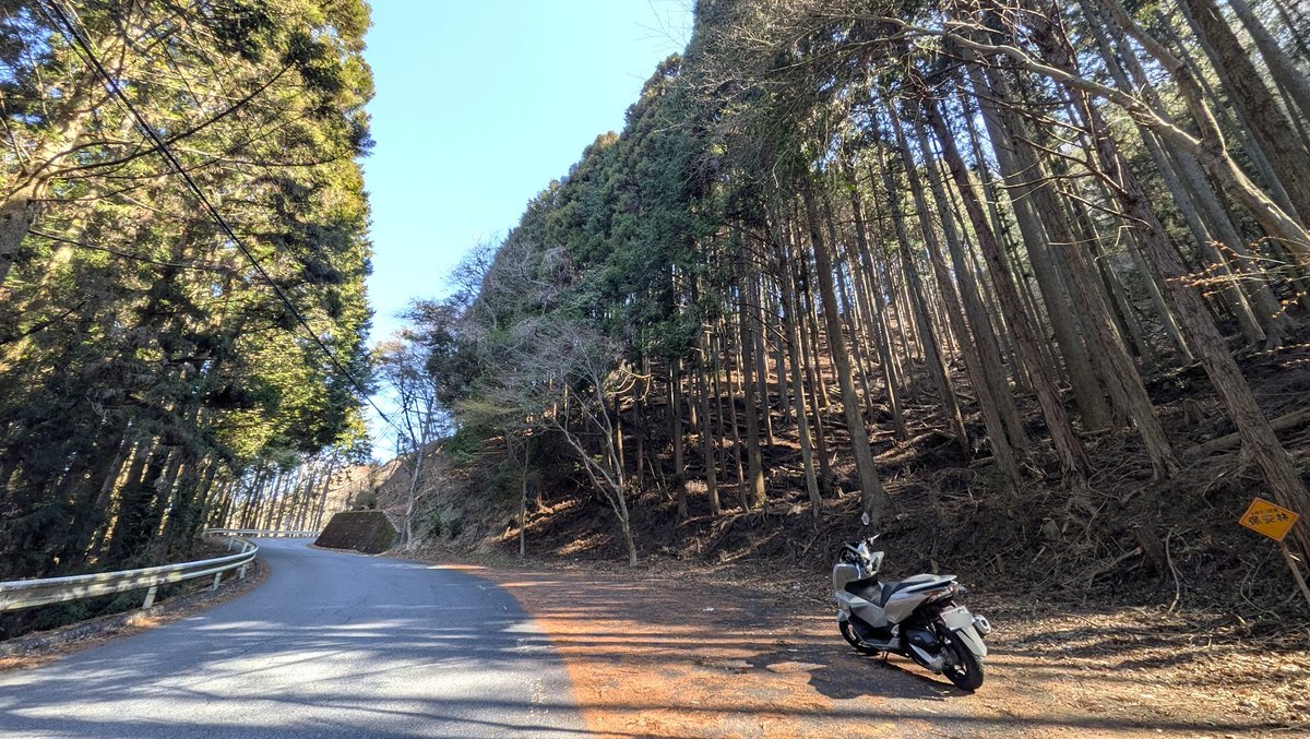 ごくう tweet media