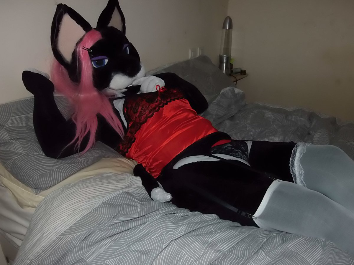 MagsTheCat AD 18+🔞 (aka Zazu Helvii) tweet media