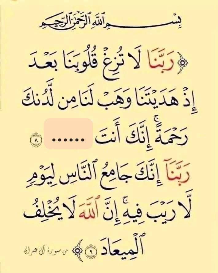 Nahed Hussien 👩👩👦👦 tweet media