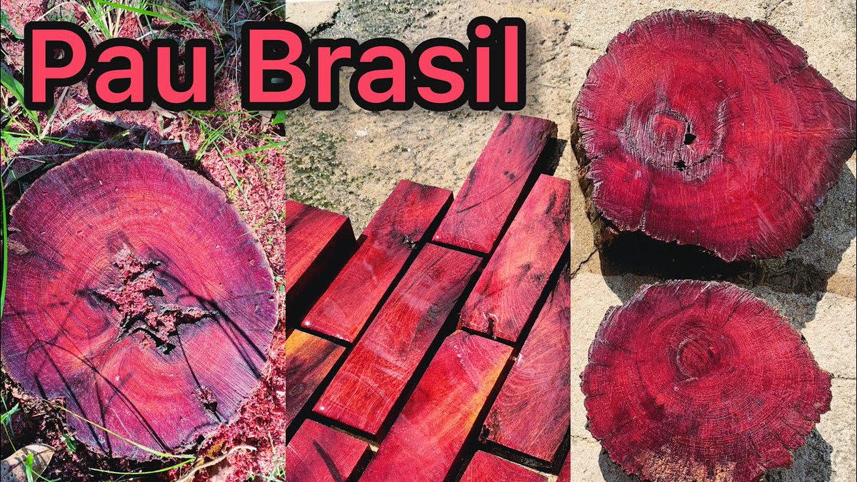 Explicando Marx tweet media