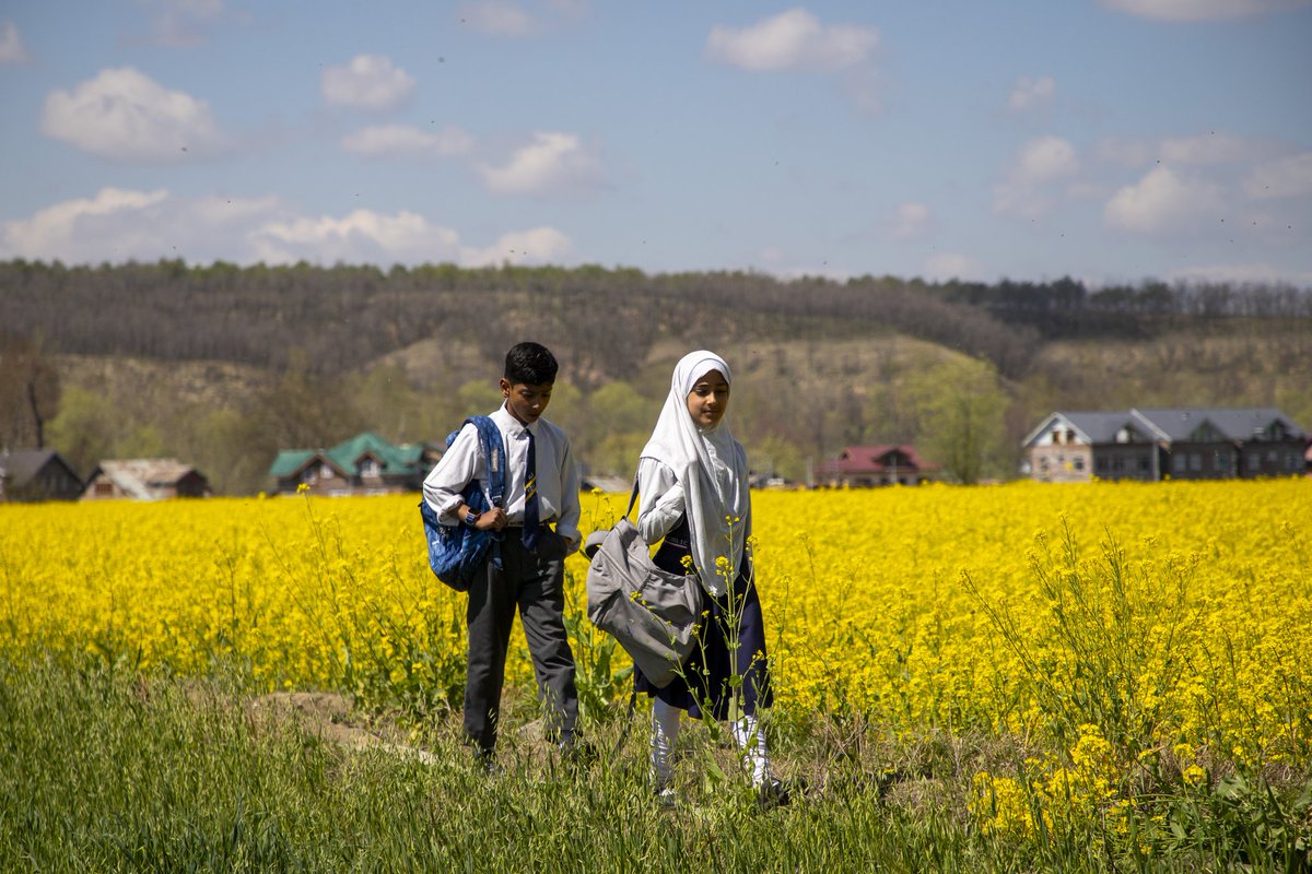 Faisal Bashir tweet media