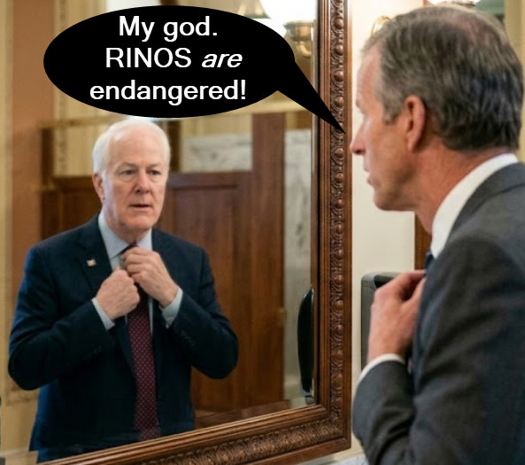 Steve Stifler tweet media