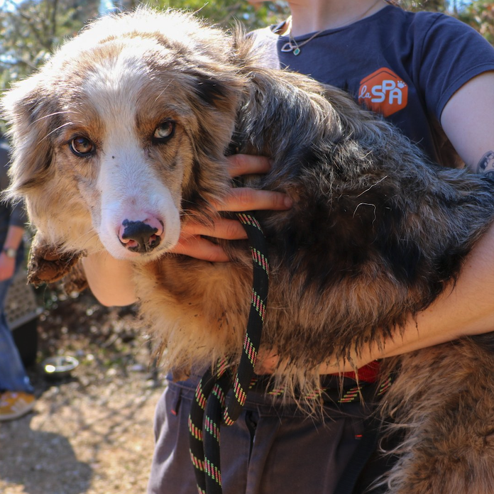 Le Média Positif 🍀 tweet media