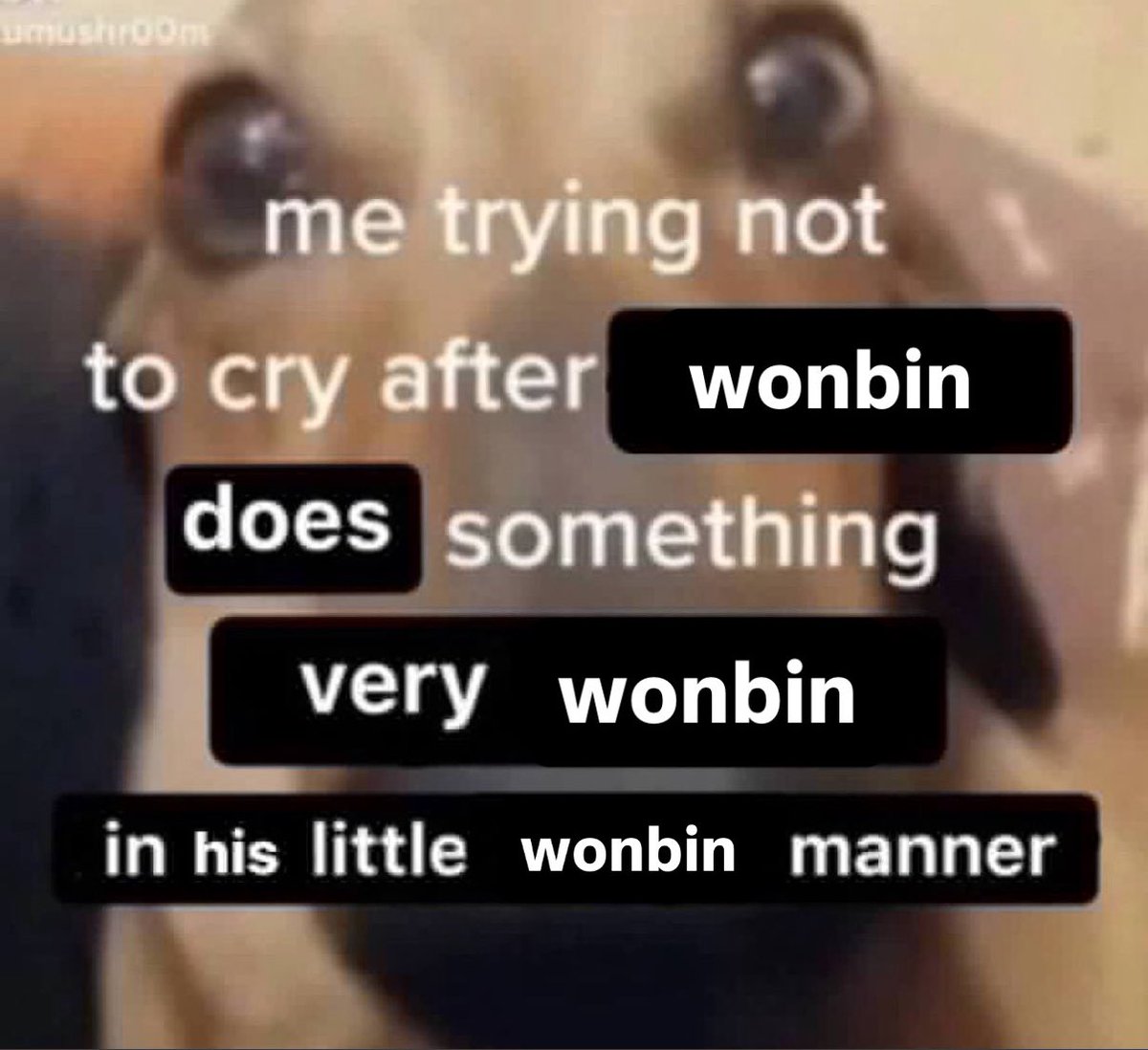 tonyangdeok tweet media