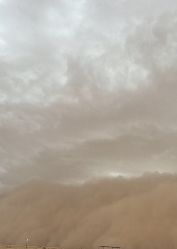 أبو فلان tweet media