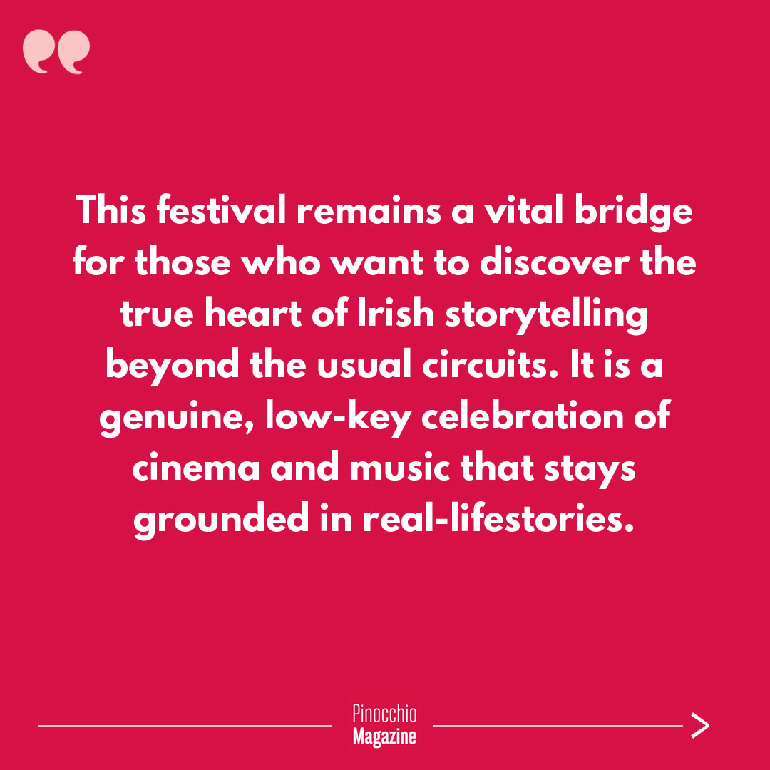 Pinocchio Magazine tweet media