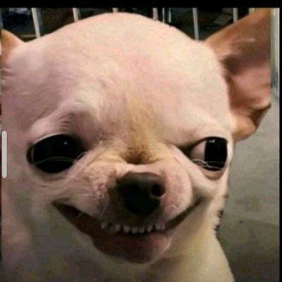 Light no dey to iron clothe keh, wetin do XR