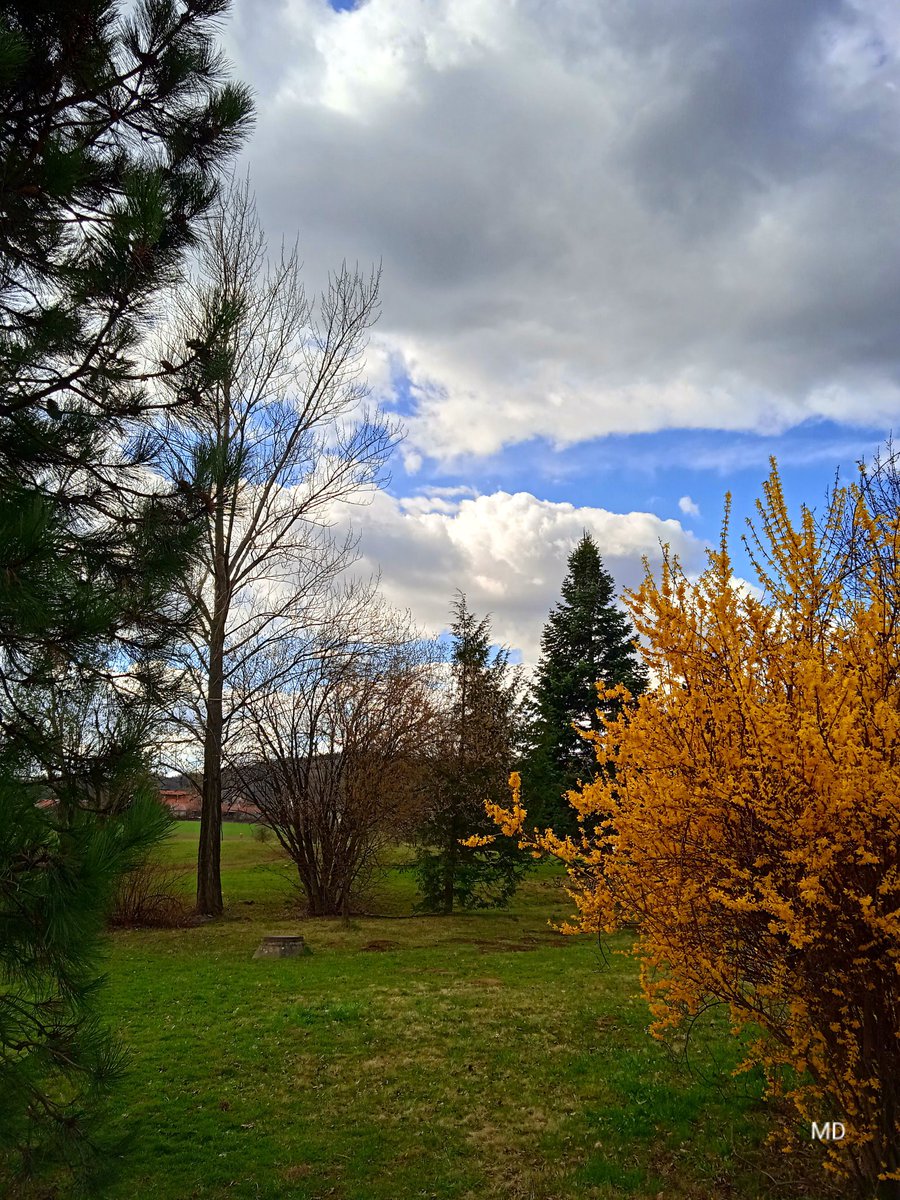 Martina Dvorská tweet media