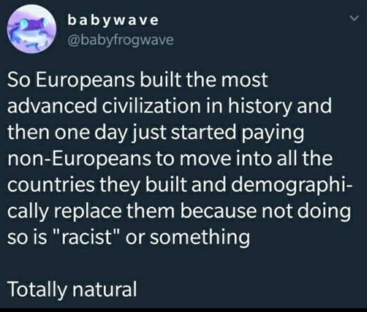 Purple Trees tweet media