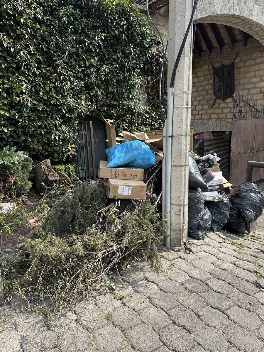 Lillian Huacuja tweet media