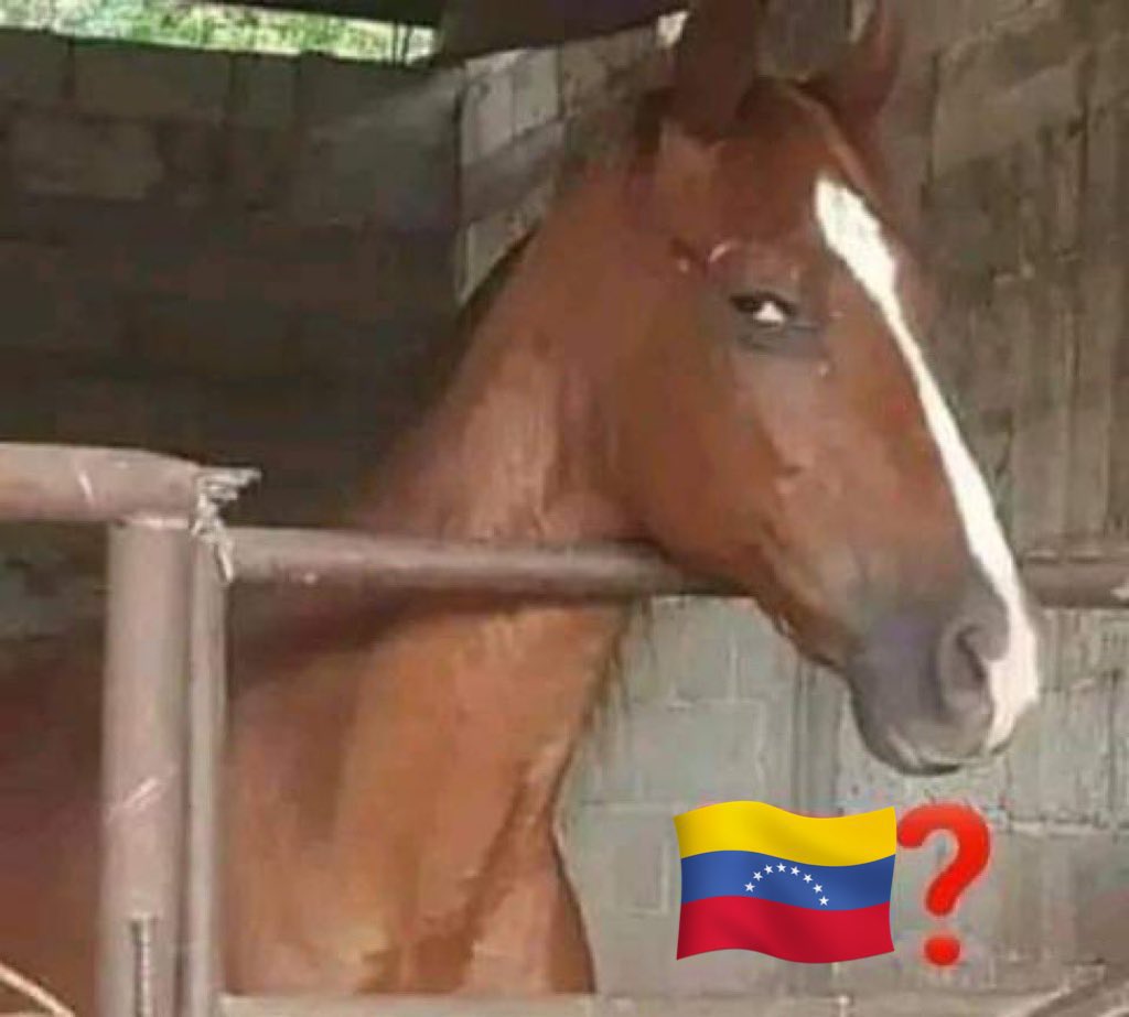 Felipe tweet media