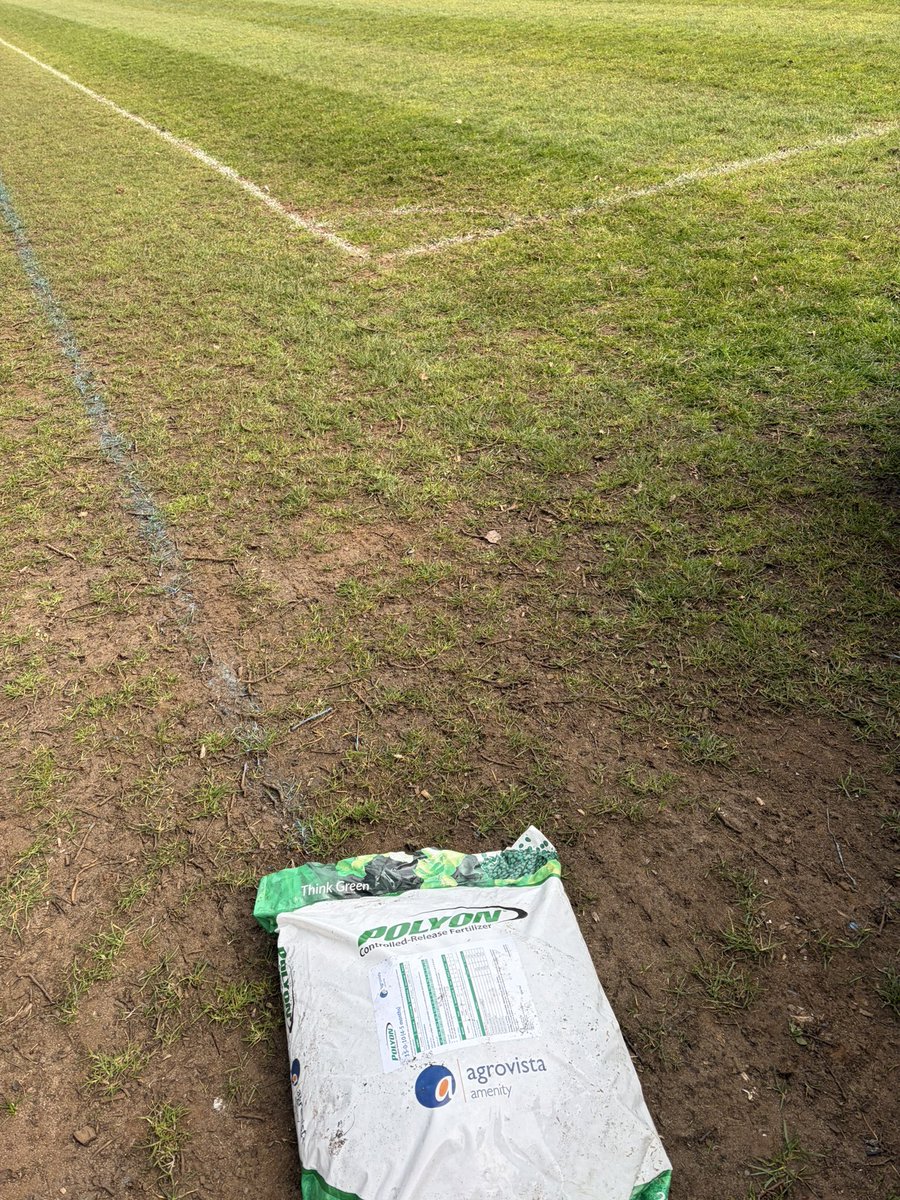 Shaun Soloman 💙 tweet media