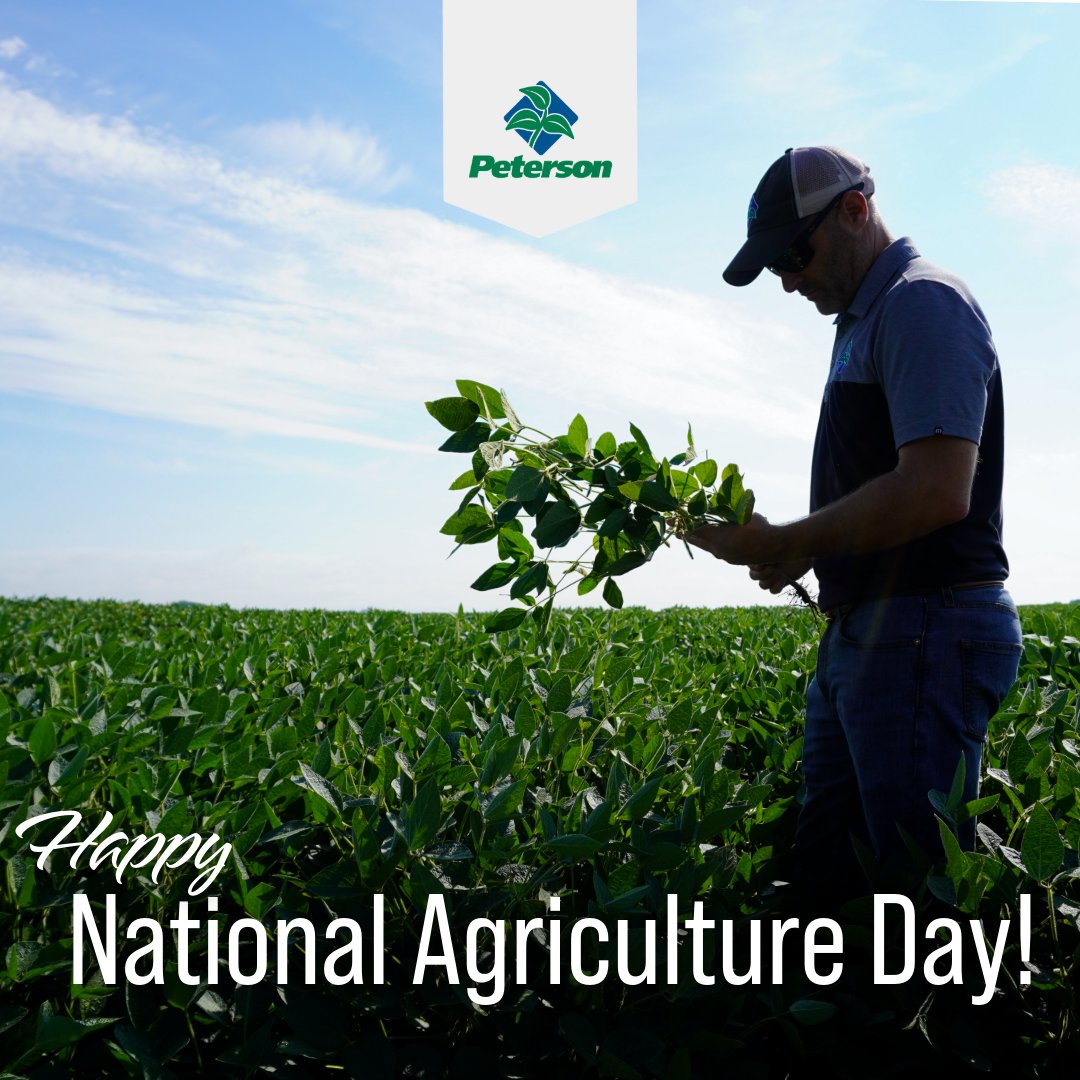 Peterson tweet media