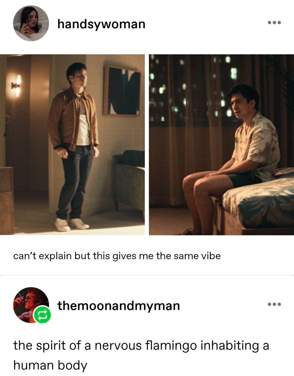 debs 🏒 tweet media