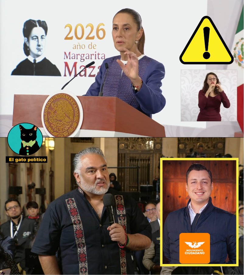 El gato político tweet media