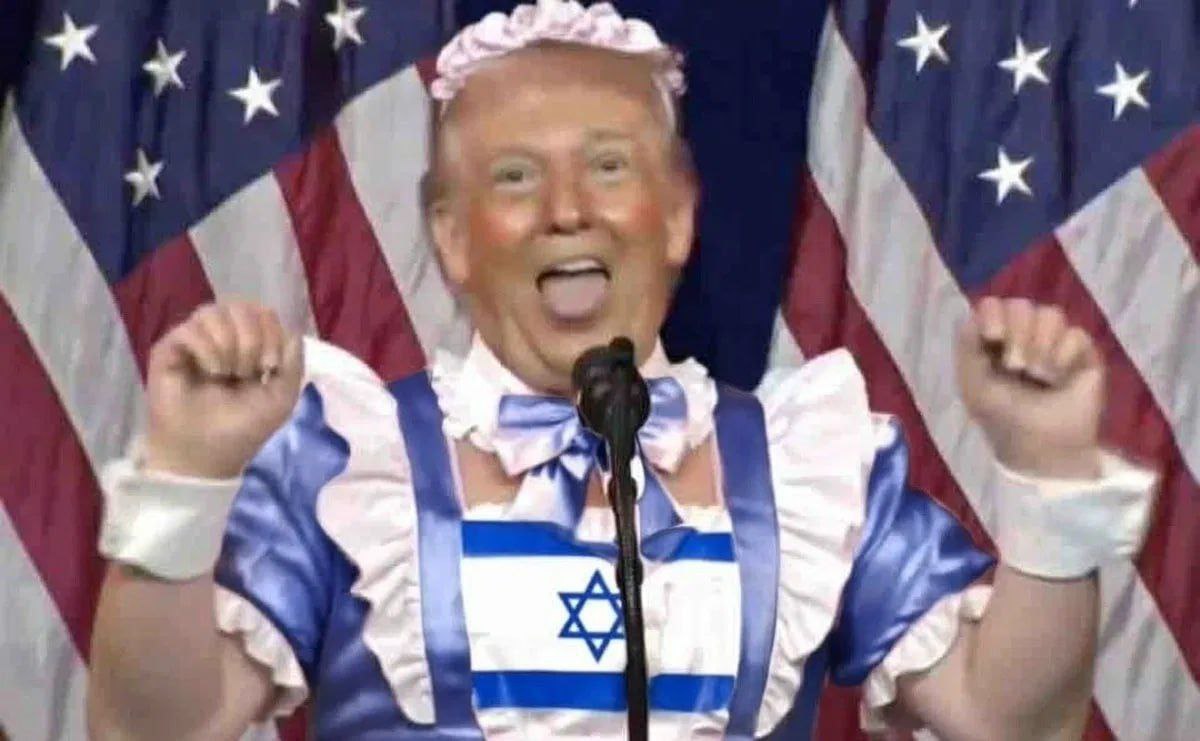 Thr Wies tweet media