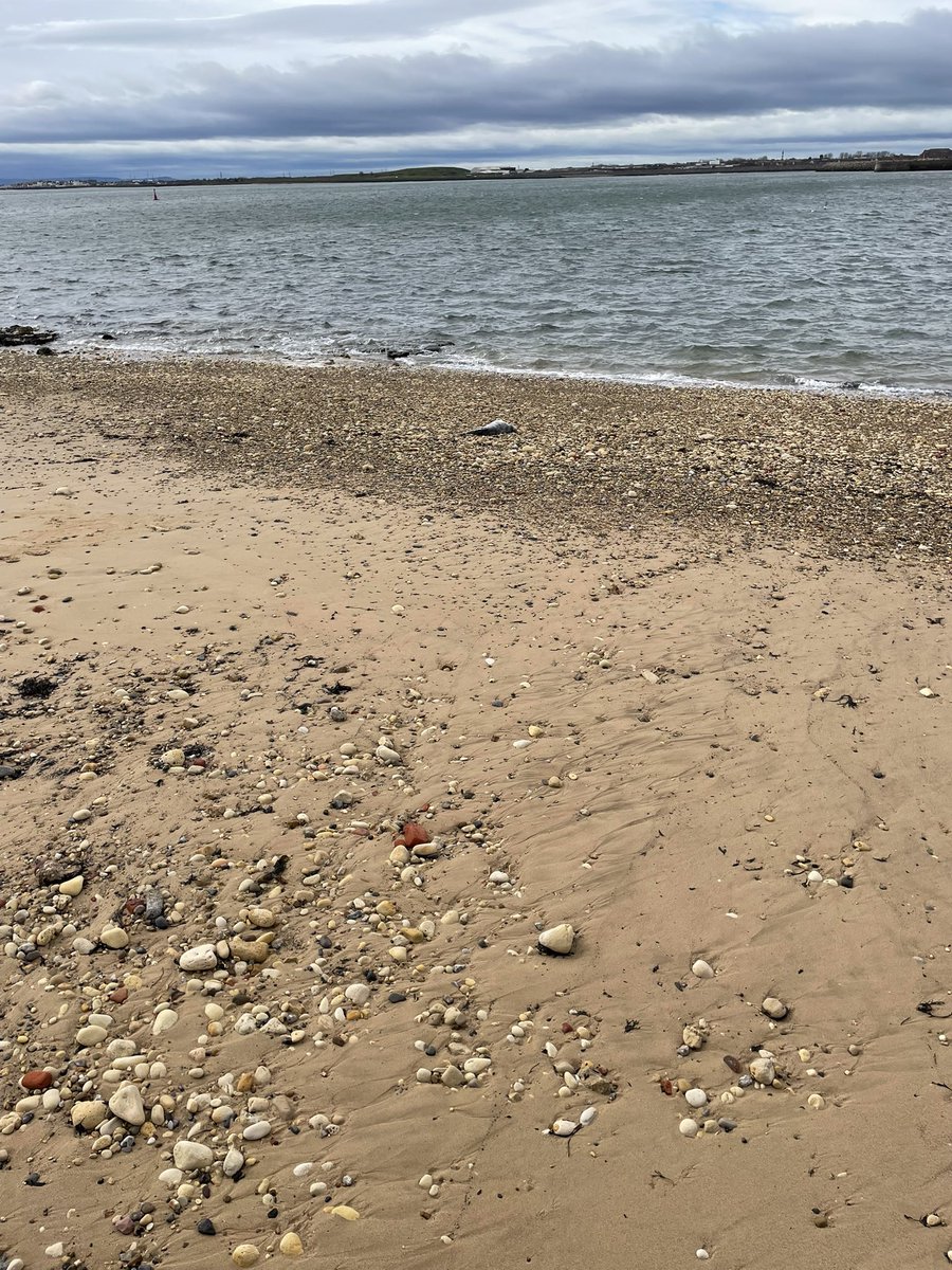 Steven Bramley tweet media