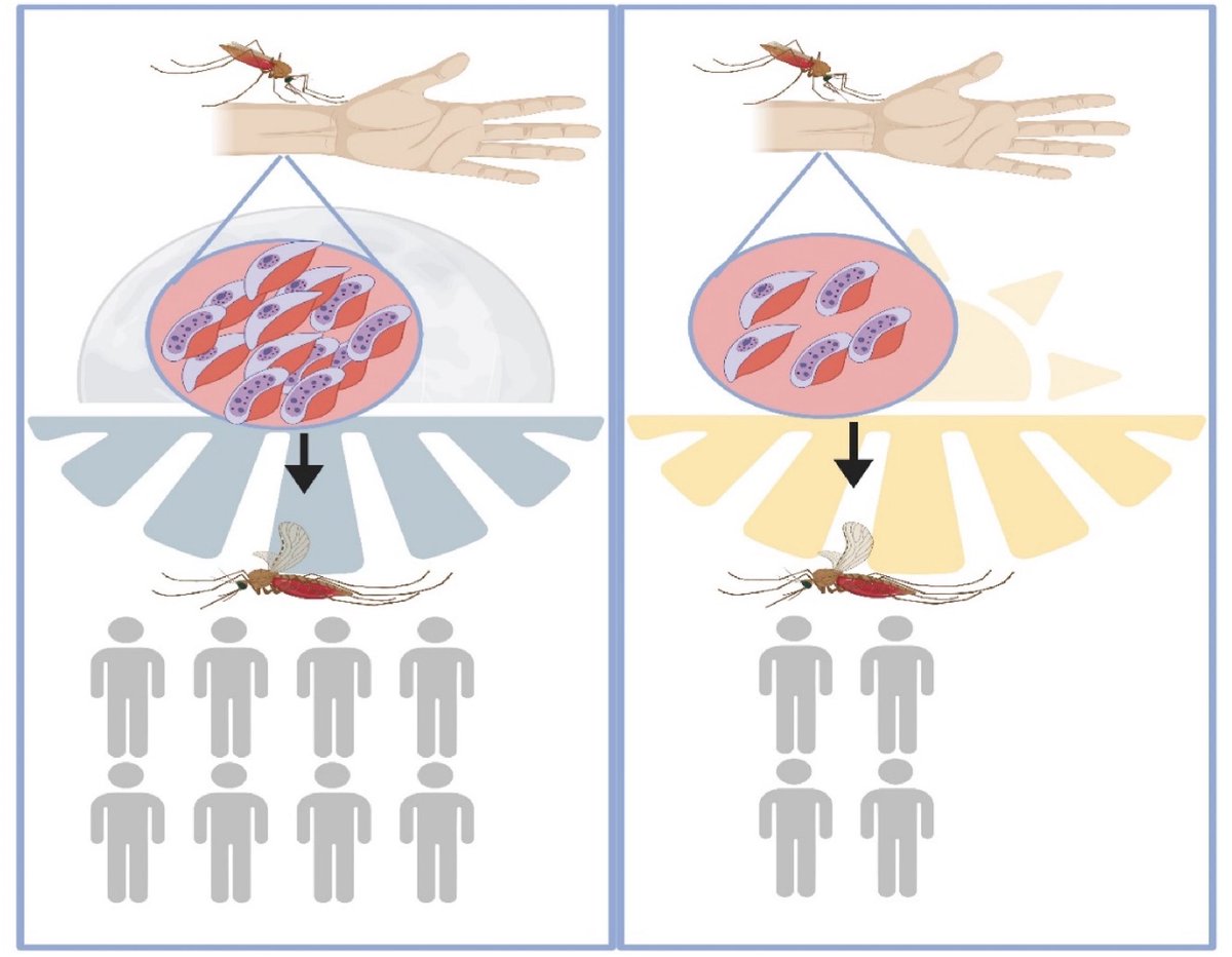 Decoding Infection and Transmission tweet media