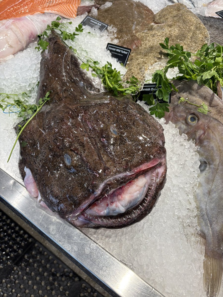 Jonathan Norris tweet media