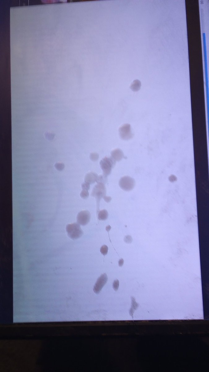 LordryuAfterDark tweet media