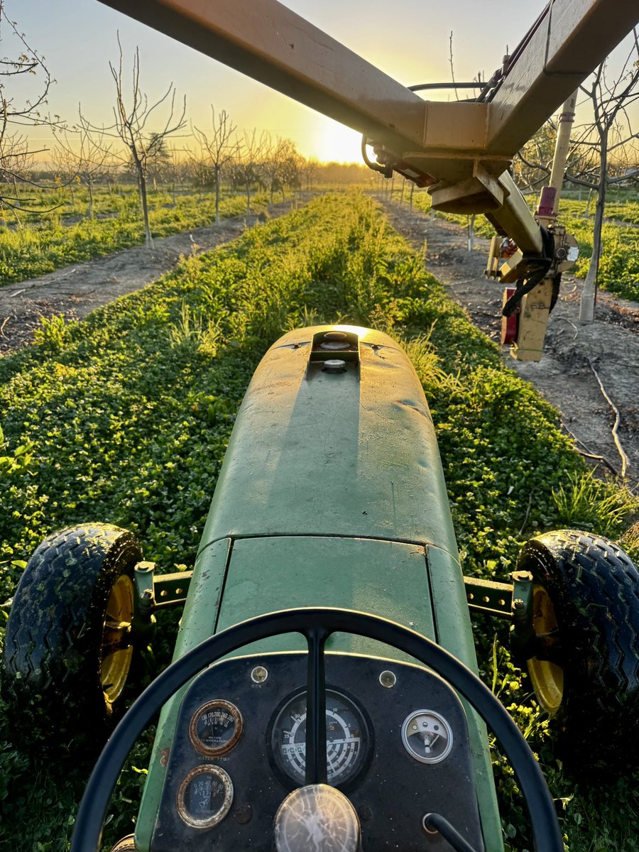 One of life’s great experiences is an old tractor at sunrise, covered in a thick dew.