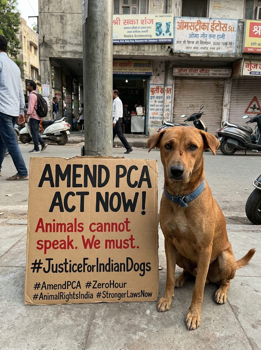 jeevansharya's tweet photo. Animals can't speak, but their suffering is loud & clear. It’s time to strengthen laws & deliver justice. Amend the Prevention of Cruelty to Animals Act NOW🇮🇳
@narendramodi @indSupremeCourt @Min_FAHD
#AmendPCA #JusticeForIndianDogs #AnimalRightsIndia #StrongerLawsNow #animalmater https://t.co/np3LUIro85