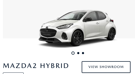 ウナ丼_STRUT_エンスーCARガイド tweet media