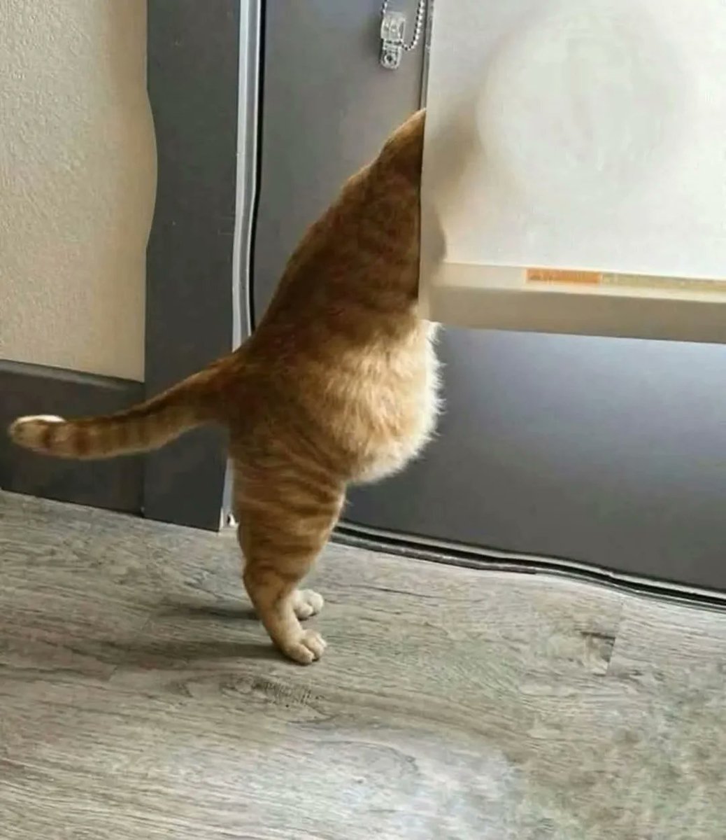 full of milk
